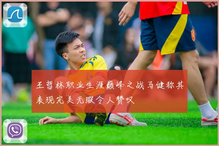 王哲林职业生涯巅峰之战马健称其表现完美无瑕令人赞叹